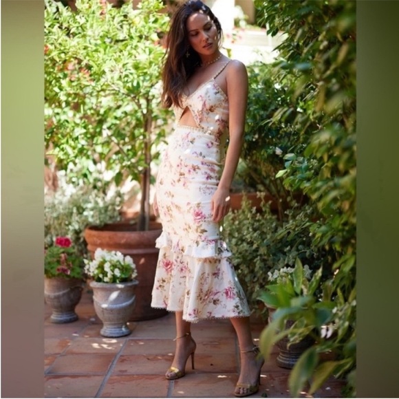 V. Chapman Luna Floral Midi Dress NWT - Picture 5 of 14